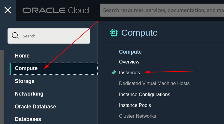 compute instance instruction