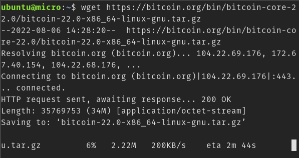 downloading bitcoind